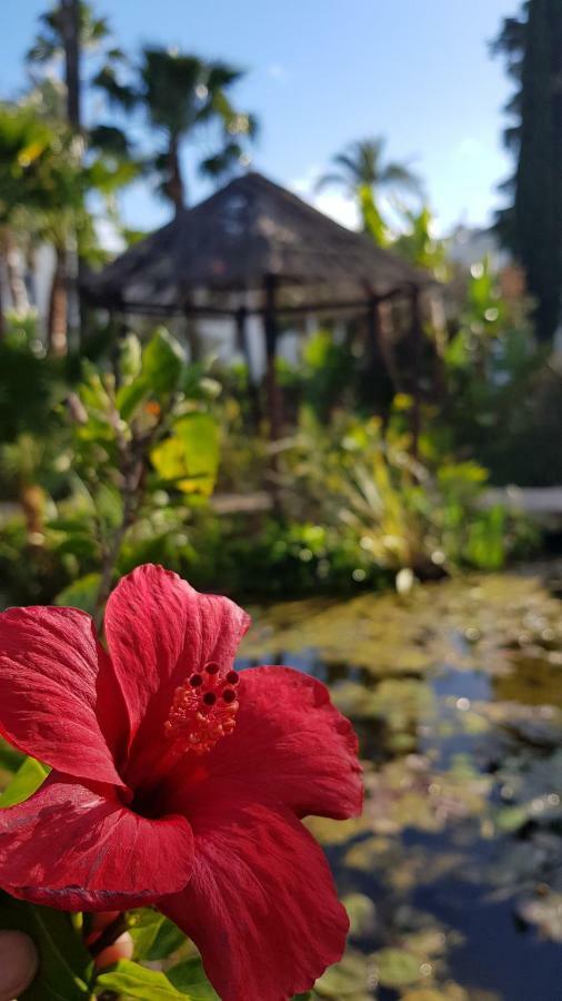 Apartamento Con Vistas Al Campo De Golf Y Piscina Daire Fuengirola Dış mekan fotoğraf